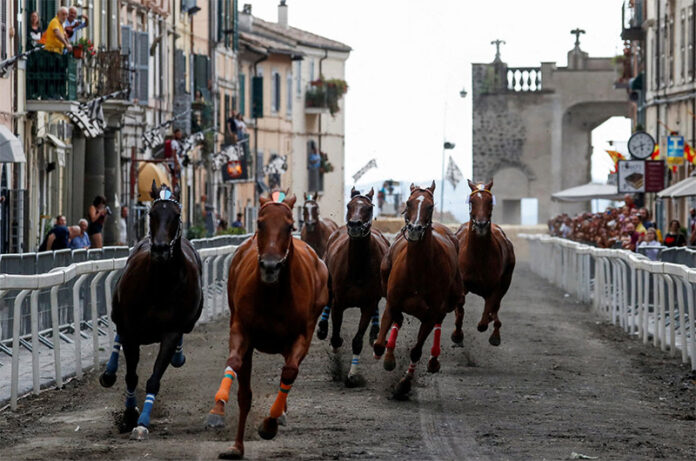 palio di ronciglione