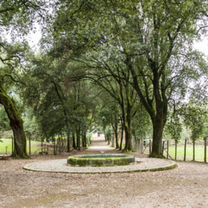 VillaAltieri