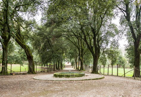 VillaAltieri