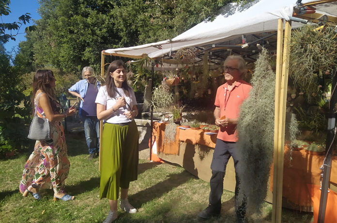 verdi e contenti evento