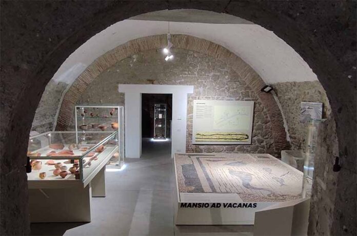 Allegato-A-MAP-sala-2-allestimento-mosaico-romano-delle-terme-di-Baccano-allinterno-delle-scuderie-dei-Carabinieri-pontifici-XIX-secolo MAP Campagnano