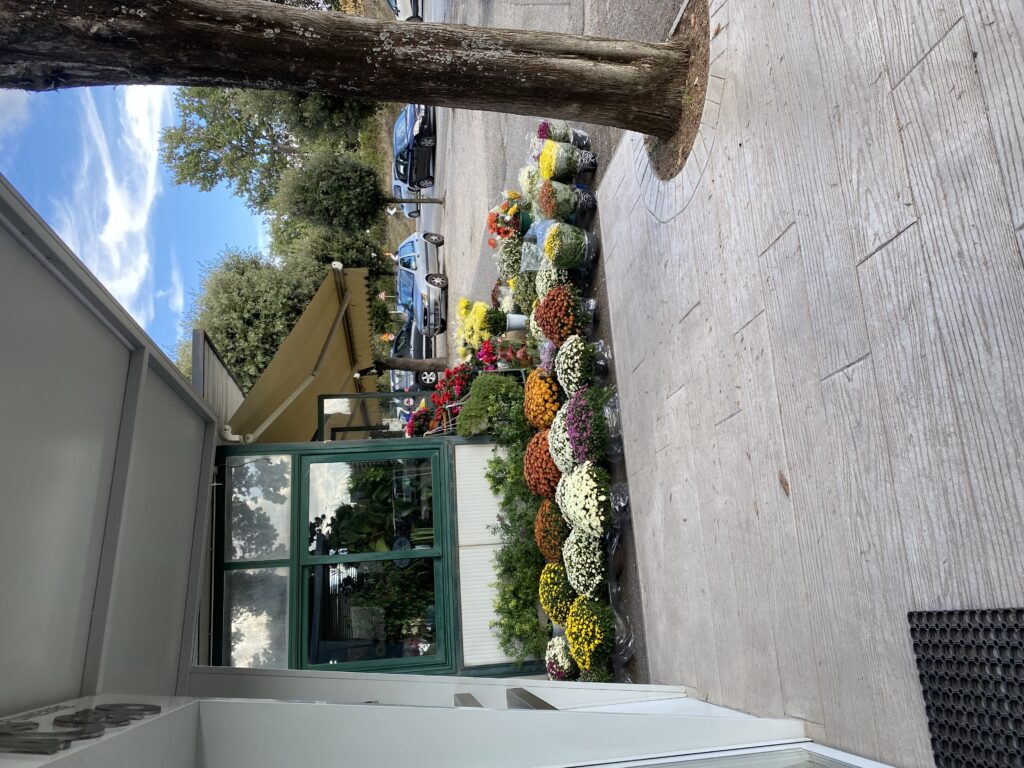 Fiori cimitero