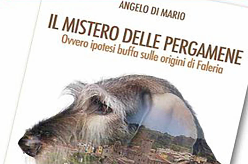 Il mistero delle pergamene