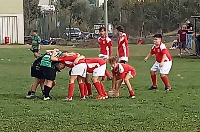 Rugby Civitavecchia_U12