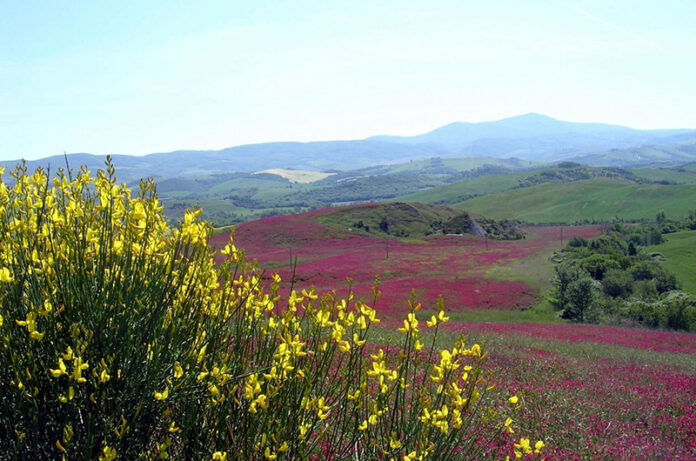 la via francigena tratto bolsena montefiascone La via francigena tratto Bolsena Montefiascone