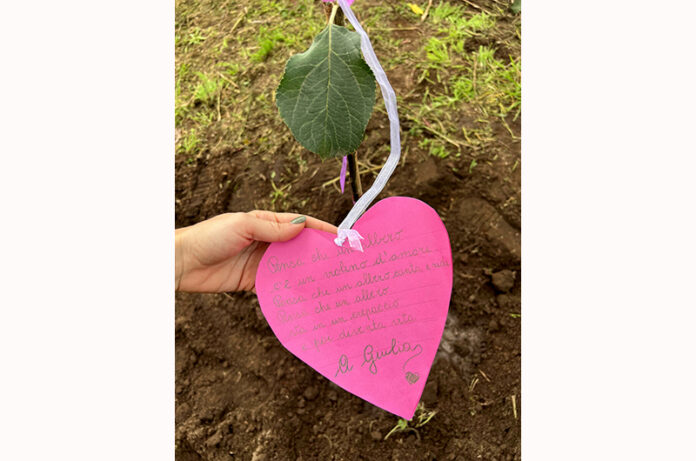 Albero per Giulia Albero per Giulia