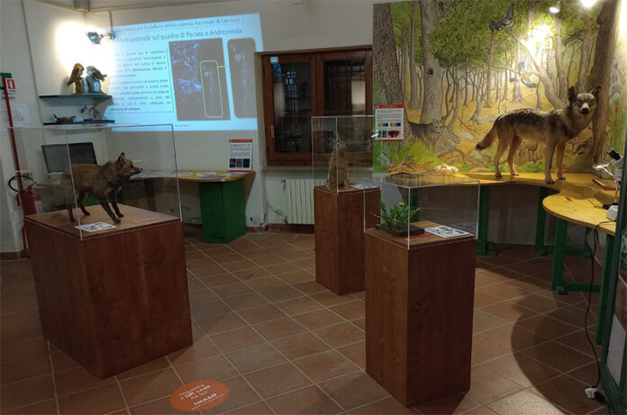 MUSEO_FIORE_mostra animali