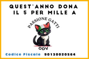 Passione Gatti 5 x 1000