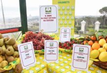 Commercio, Coldiretti: “Dal ciliegino al kiwi, porti chiusi al made in Italy” Porti chiusi al made in Italy