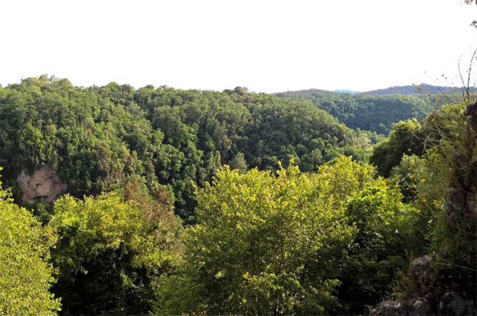 Tuscia, boschi e vallate_cover