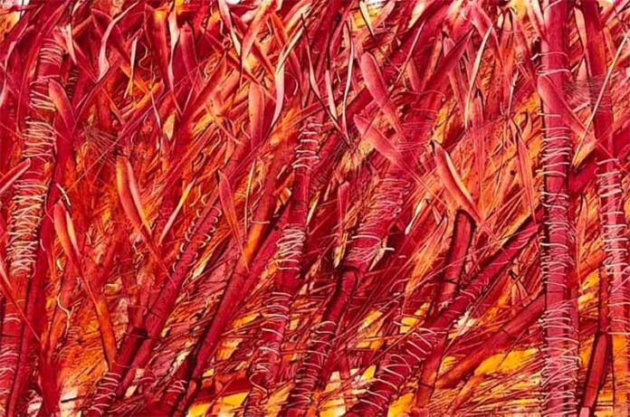 gino bernardini ad ArtePadova