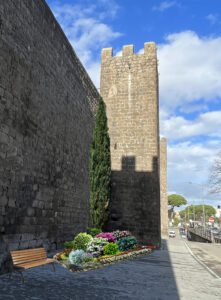 46f84e6e-e205-912d-ff26-c7ac976ec82a