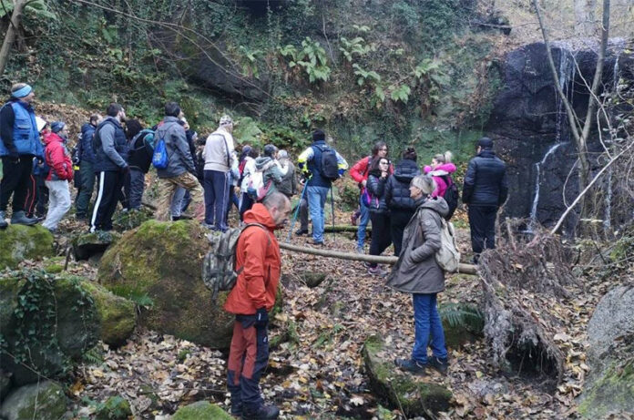 CANEPINA_NASCOSTA_cover