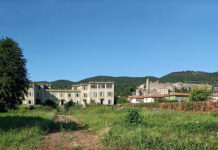 Il paesaggista Pietro Porcinai e la Colonia elioterapica “Luigi Concetti” di Bolsena