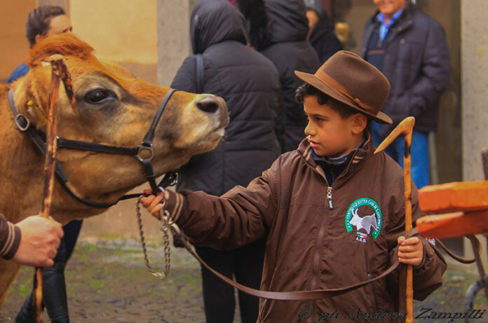 CENTRO EQUESTRE CAVA DI SANT'ANTONIO