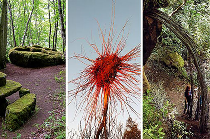 Opera Bosco-visita guidata Opera Bosco-visita guidata