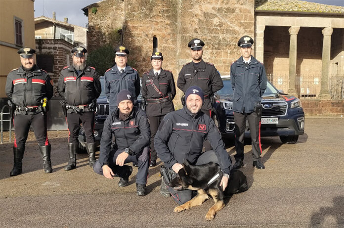 Progetto Legalità Vasanello Progetto Legalità