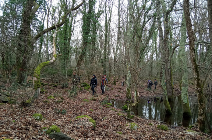 Riserva Naturale Selva del Lamone