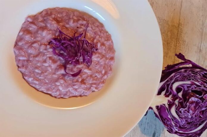 cavolo viola e certosa by stefania capati