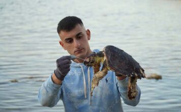 SOS tartarughe: l’ambientalista Sebastian Colnaghi sottolinea l’urgenza di ridurre l’uso della plastica Foto 1