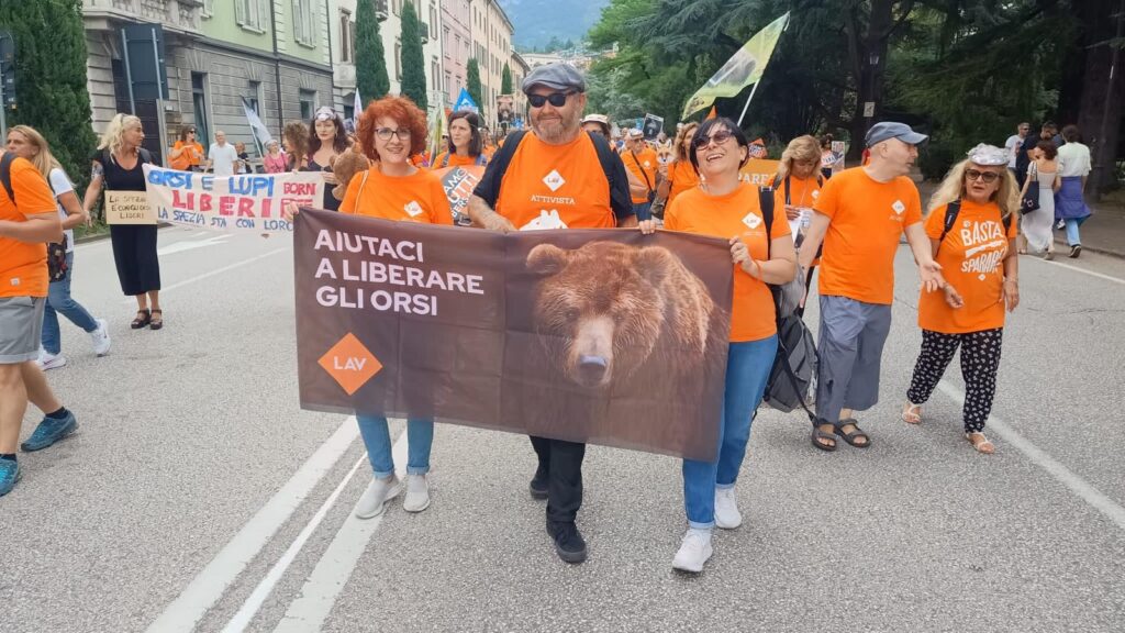 Maria Grazia Pompei_LAV_2