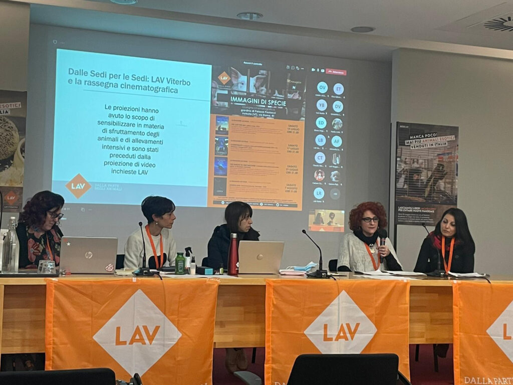 Maria Grazia Pompei_LAV_3