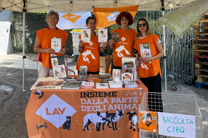 Maria Grazia Pompei_LAV_cover Maria Grazia Pompei_LAV_cover