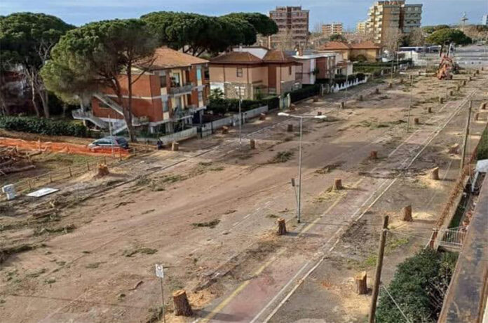 Tarquinia-ex viale alberato