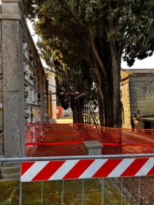 WhatsApp Image 2024-02-01 at 08.37.31 (1)