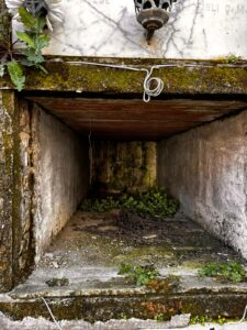 WhatsApp Image 2024-02-01 at 08.37.32