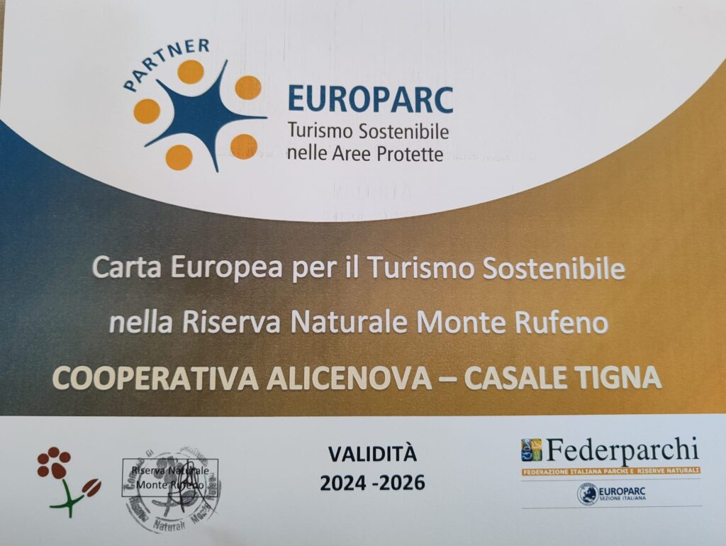 ALICENOVA_RUFENO_CETS.jpg documento dentro