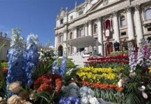 Piazza San Pietro decorazioni floreali settimana santa (2023)