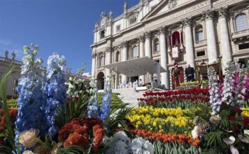 Piazza San Pietro decorazioni floreali settimana santa (2023)