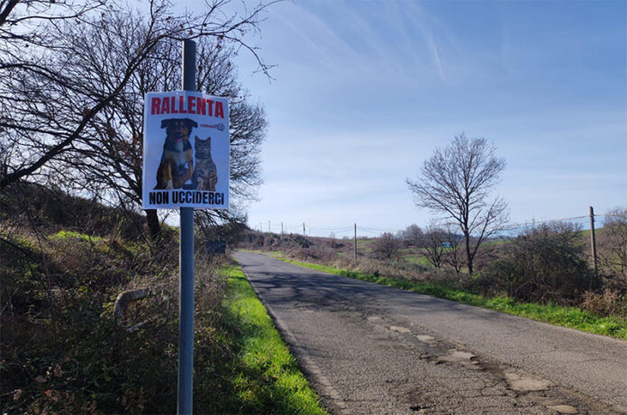 Rallenta-Non ucciderci