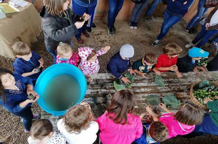 clorophilla festa della natura per bambini