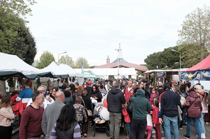 fiera di tarquinia 2024