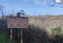 sorgente Baldacchini