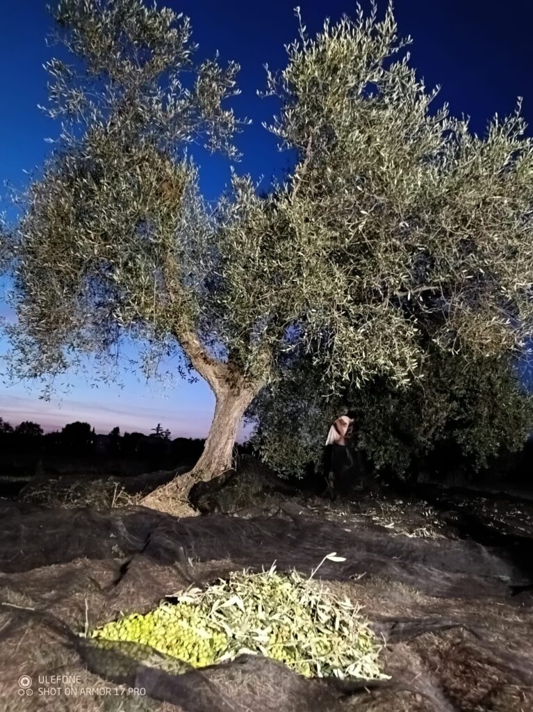 794aa301-2c73-4681-938a-b5886fbdafb0