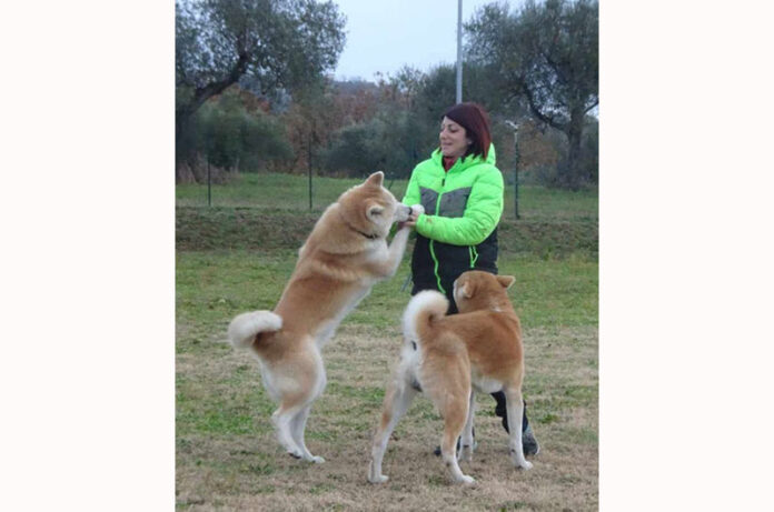 Eleonora ReDog copia Eleonora ReDog copia