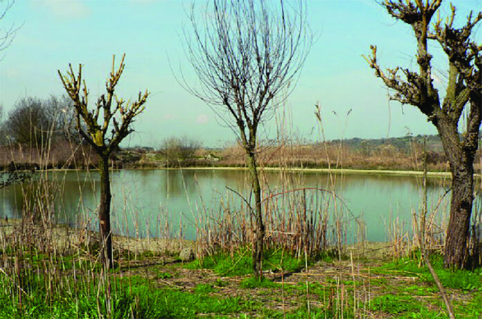 Laghetto di Valmontone