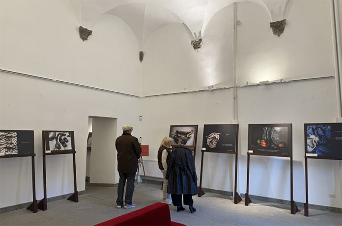 Mostra Susanna Marcoaldi