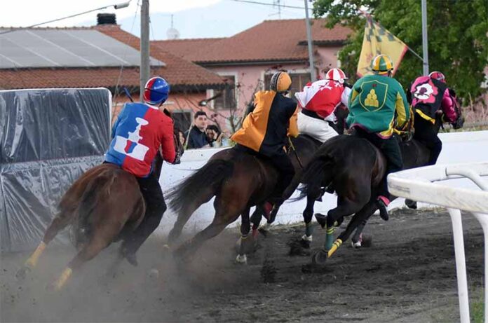 Palio di Bomarzo 2024-cover