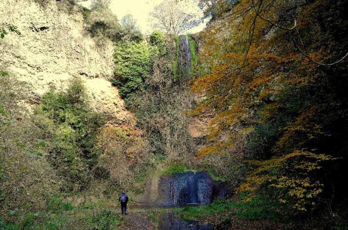 Q_castel giuliano nuove