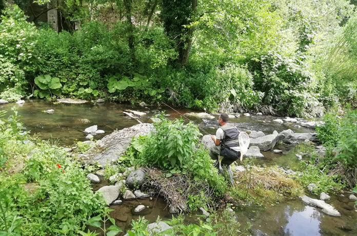 Tuscia-UP-03-.jpg pesca a mosca
