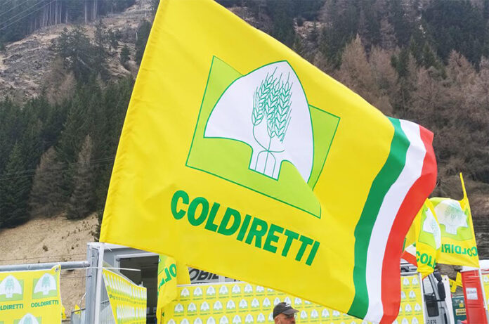 coldiretti-assemblee coldiretti-assemblee