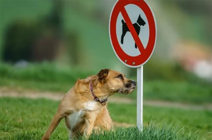 divieto per cani nei parchi