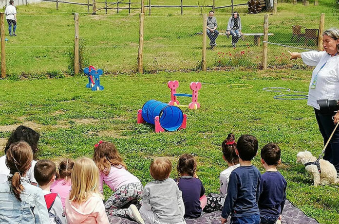 laboratori per bambinni donce dog