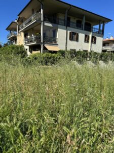 440172809_3073174546146073_2274776651713681391_n