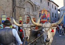 Festa santissimo salvatore