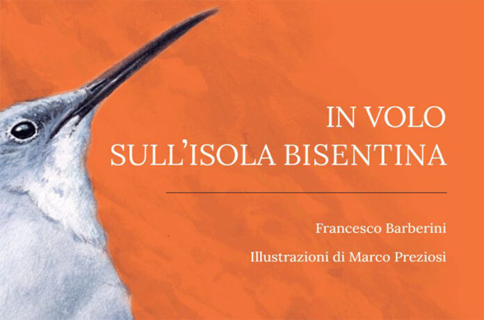 In volo sull'isola Bisentina